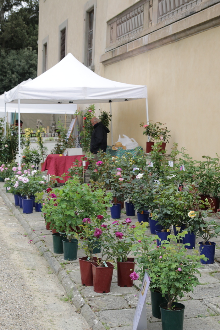 Mercato verde presso Villa Caruso