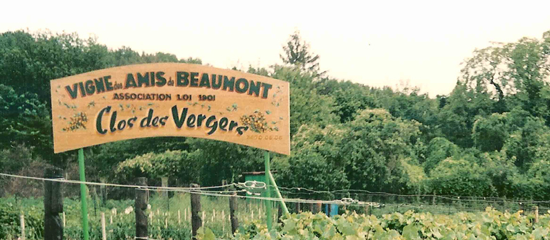 Visite de la cave de l'Hôtel du Croissant