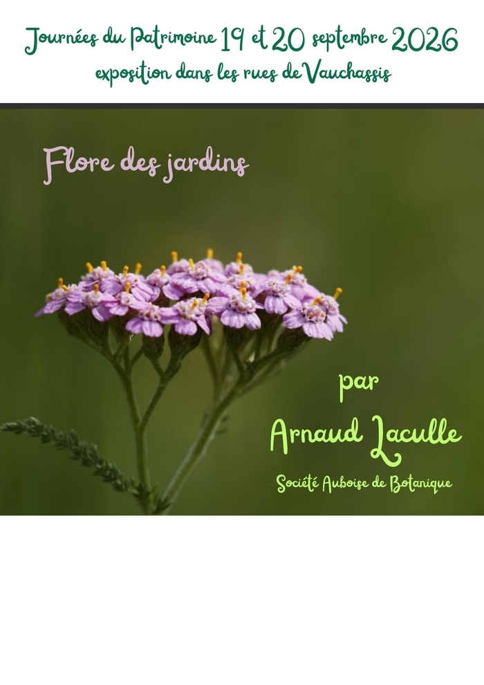 Venez voir une exposition sur la flore des jardins