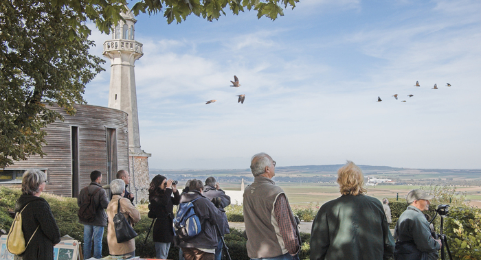 Une journée pour observer les oiseaux en migration depuis l'un des meilleurs points de vue de la Montagne de Reims.