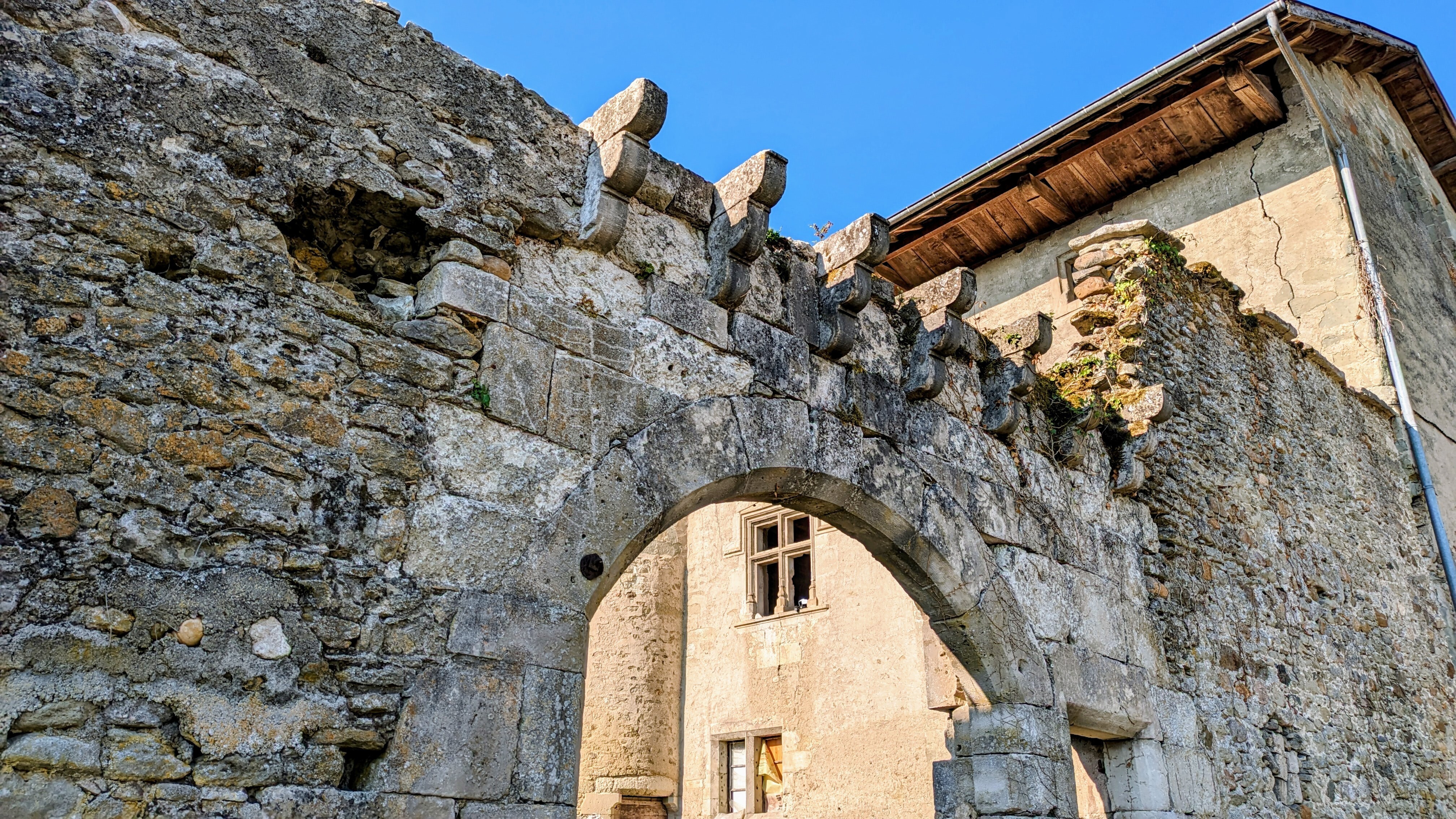 Château de Mionnaz