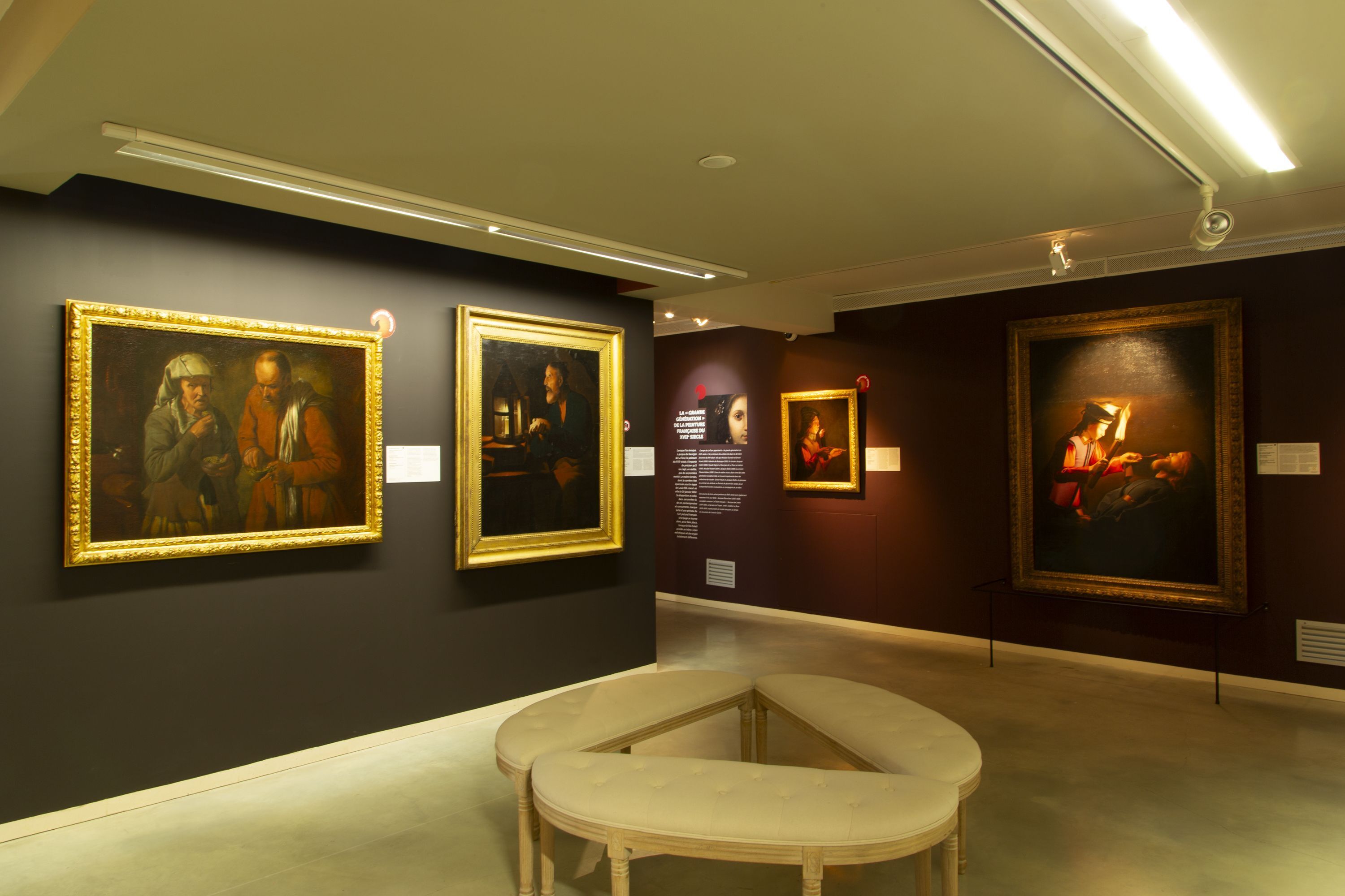 Découverte des collections
