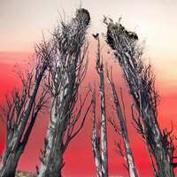 Incendies de l'Aude en 2025 "Tragédie et espoir"