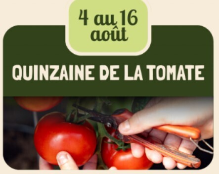 La quinzaine de la tomate