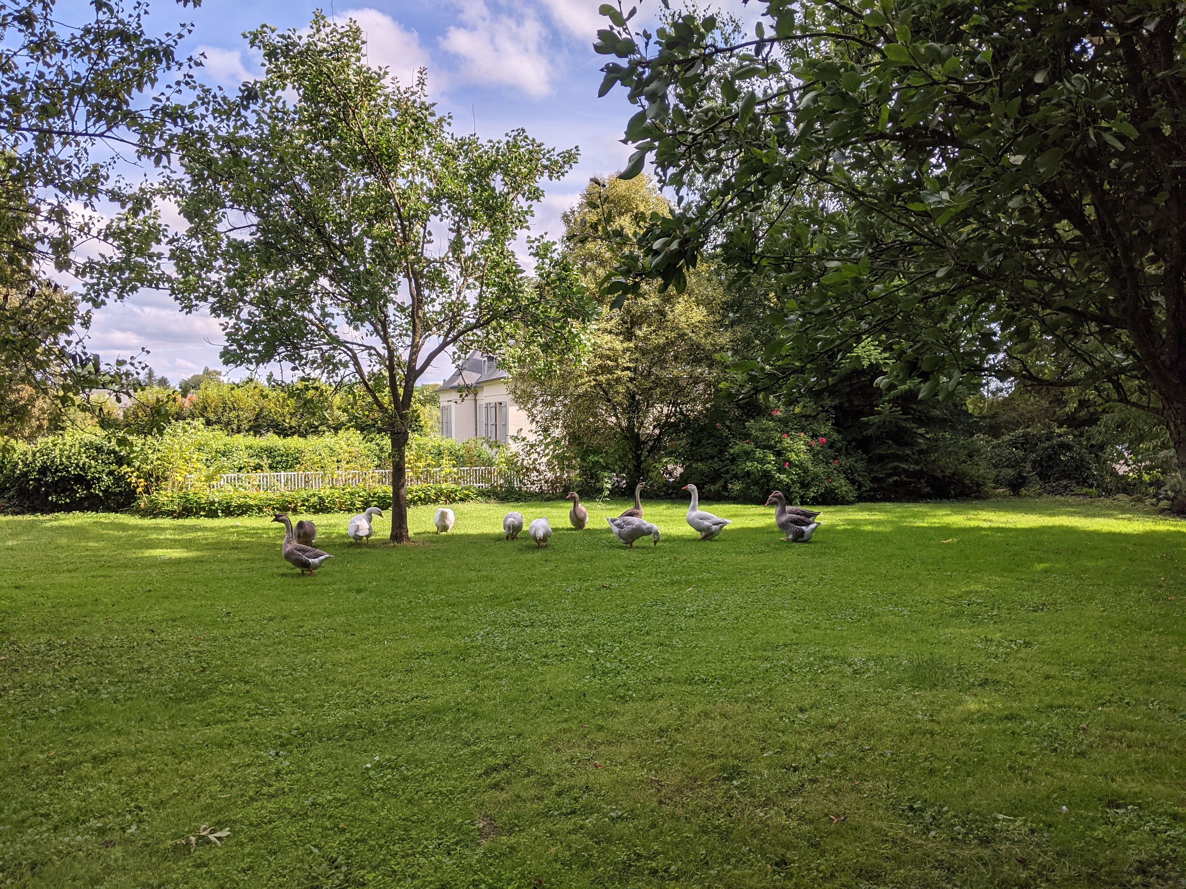 Parcours déambulatoire à la découverte du patrimoine naturel – ornithologue LPO