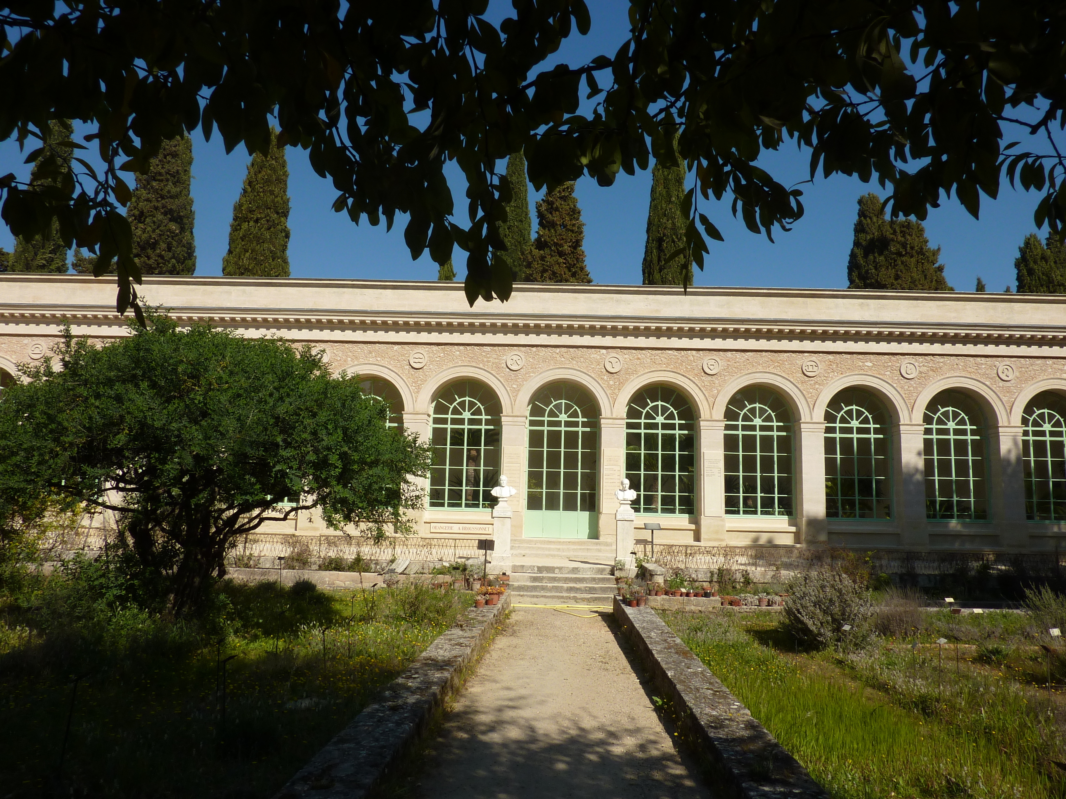 À la découverte du jardin des plantes de Montpellier