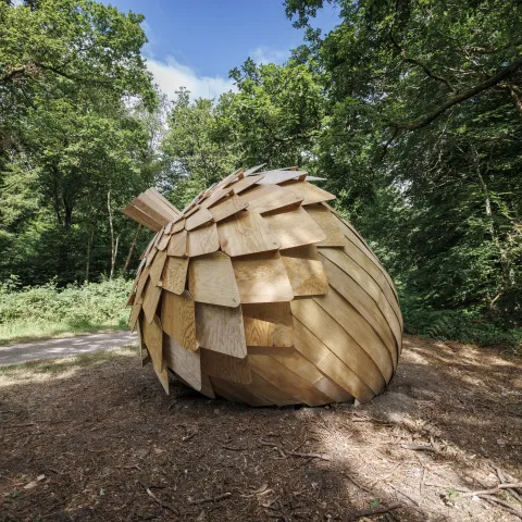 Rallye Forêt monumentale