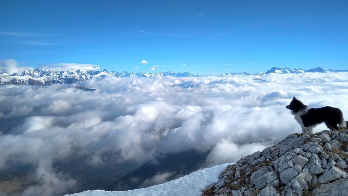 Exploration du Vercors sauvage