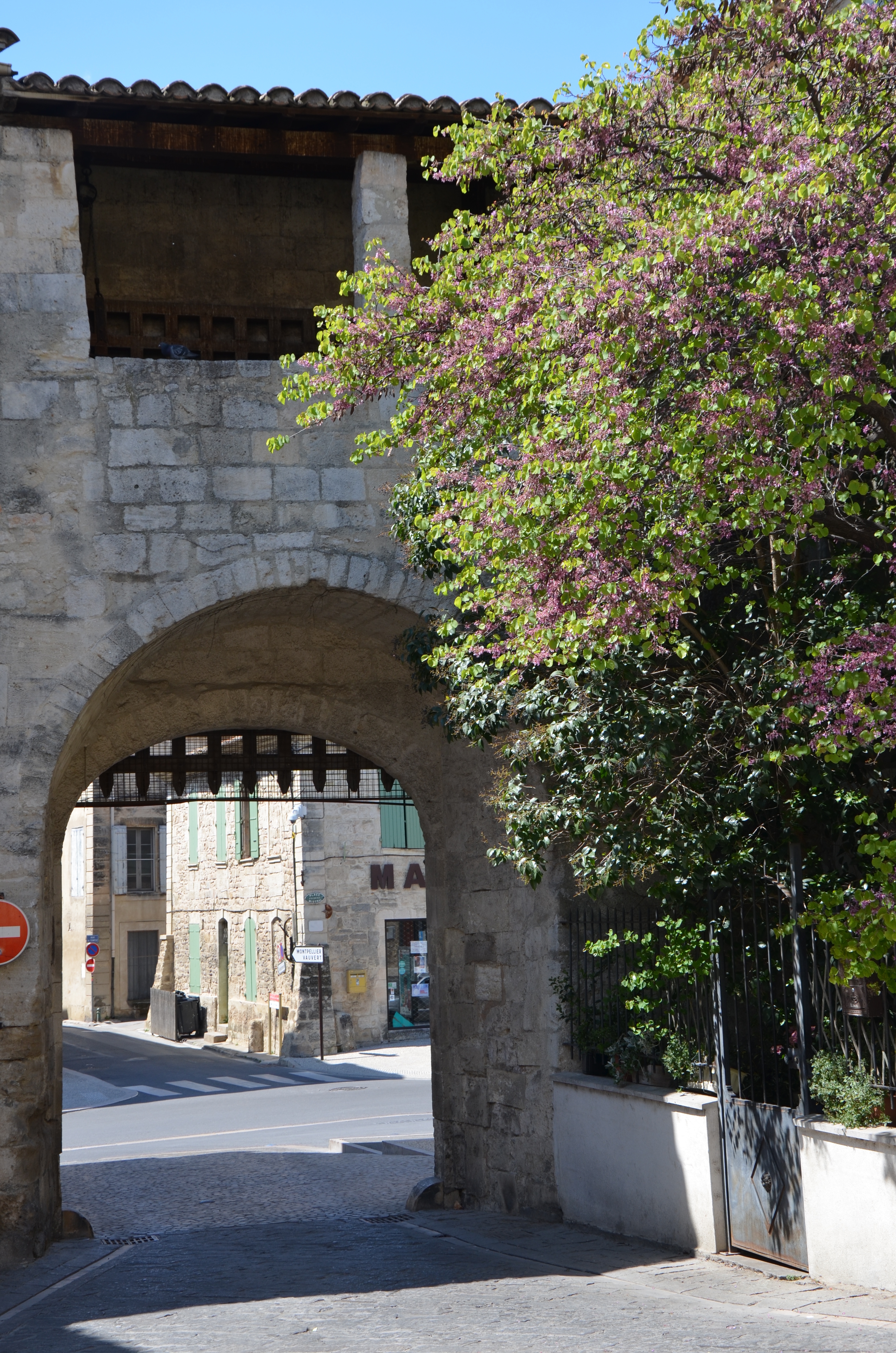 Balade guidée : « Saint-Gilles au fil du temps »