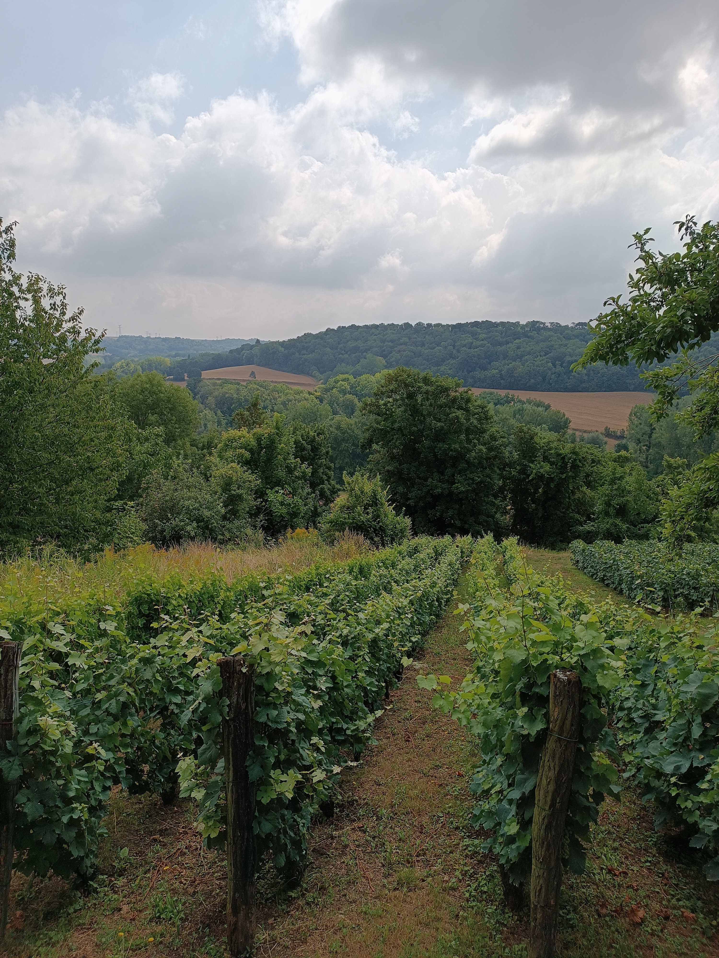 Le parcours du vigneron à Acy