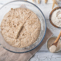 Atelier découverte - Pain au petit épeautre et levain naturel