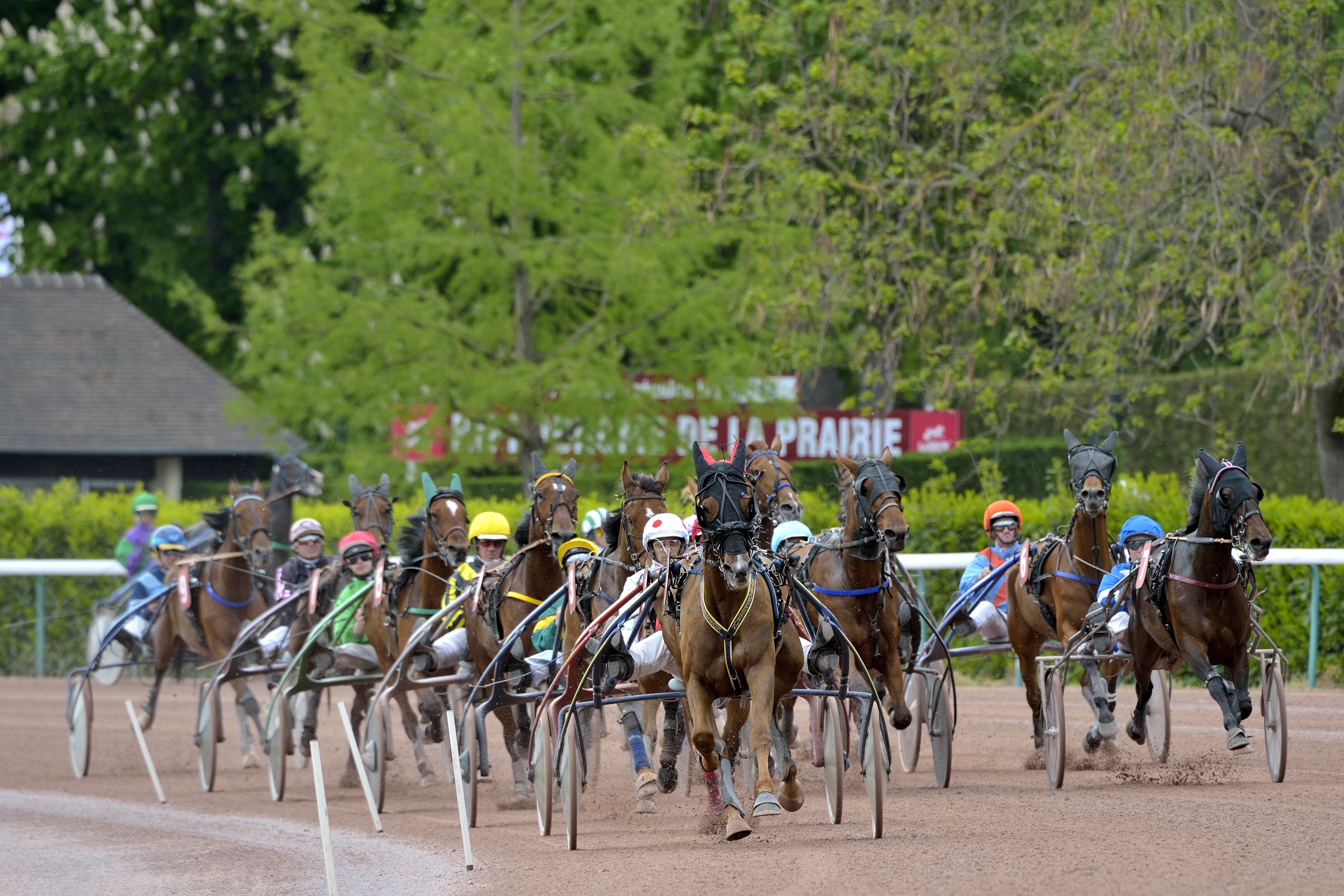 Courses de trot et animations à l’hippodrome de Caen
