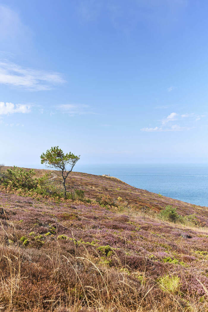 Balade ludique au Cap d'Erquy