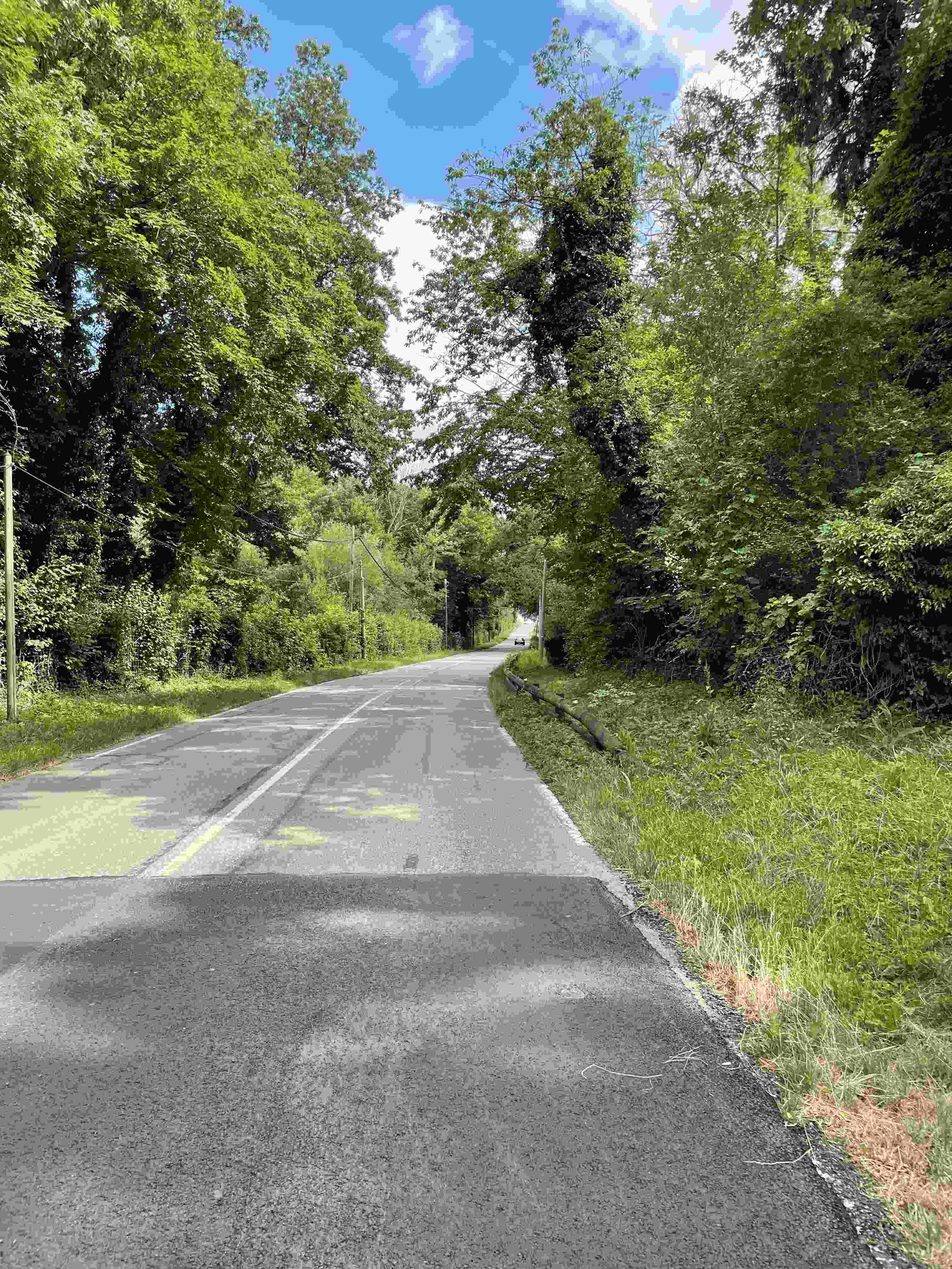 Sur la route de la Montcient