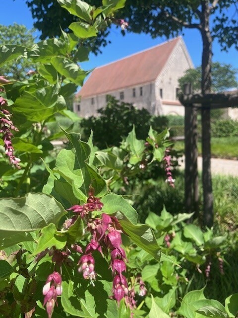Un jardin, une couleur