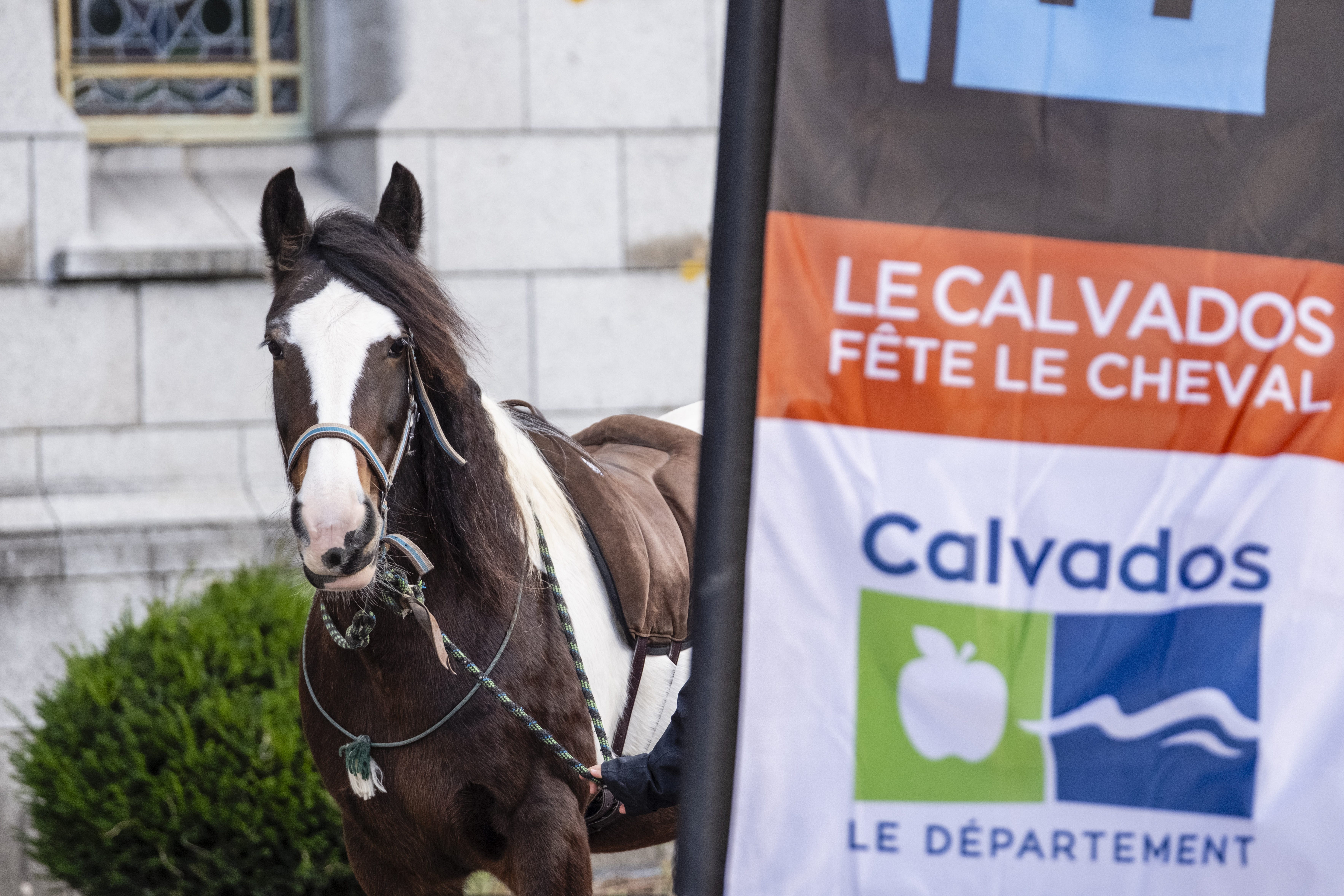 Village des Équidays à Lisieux