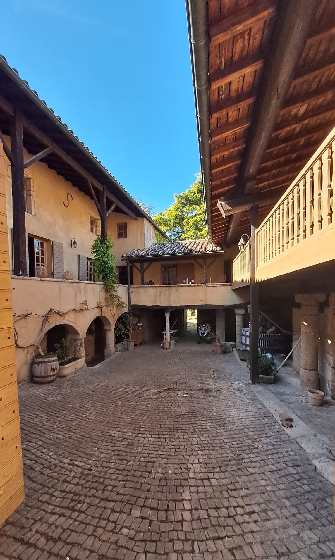 CHARLY / Maison Thibaude