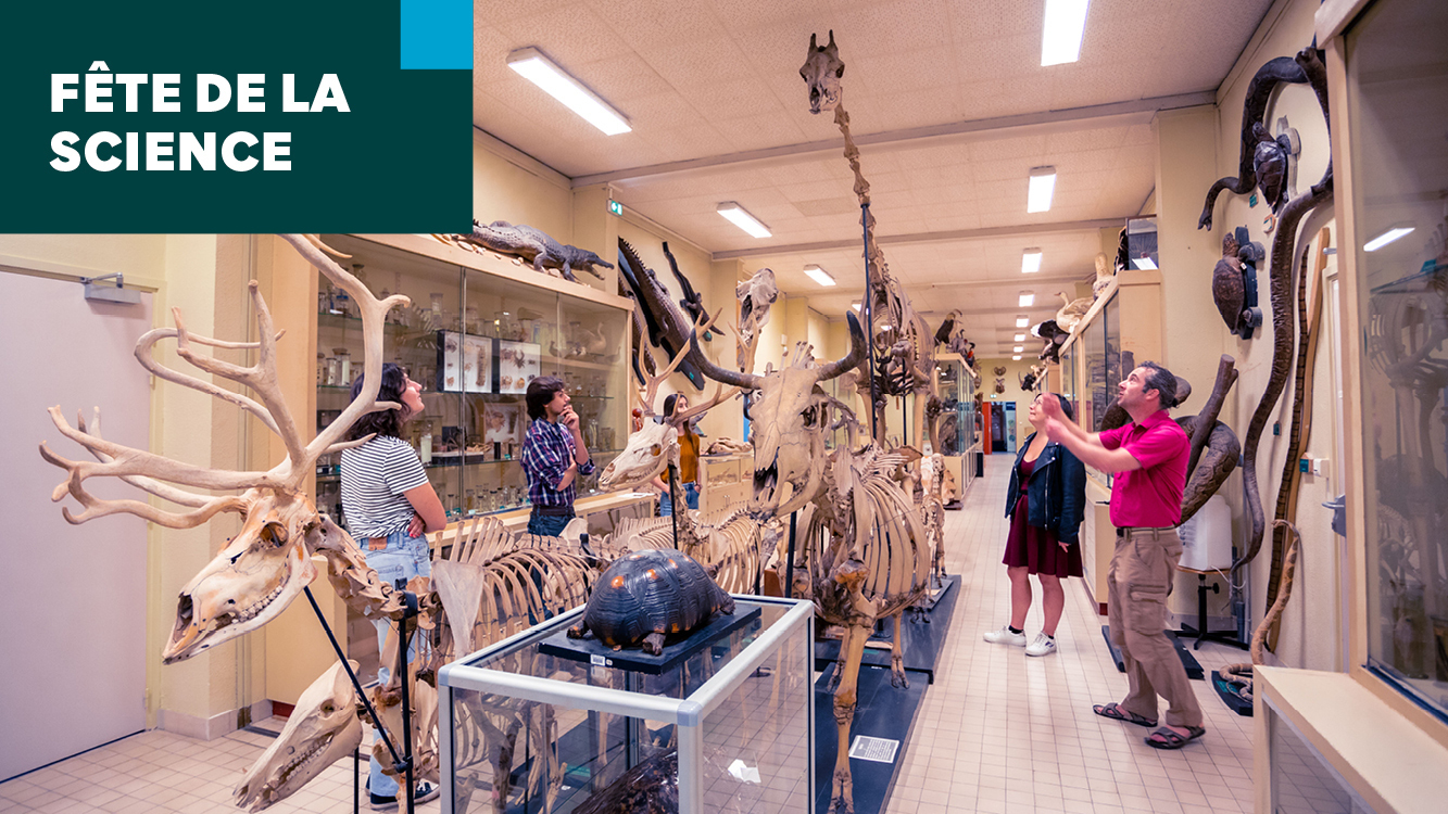 Dans le cadre de la "Fête de la Science" venez découvrir les collections scientifiques, techniques et artistiques de l’Université de Rennes.