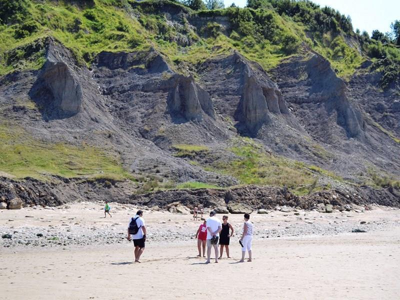 Visite guidée des falaises des Vaches noires