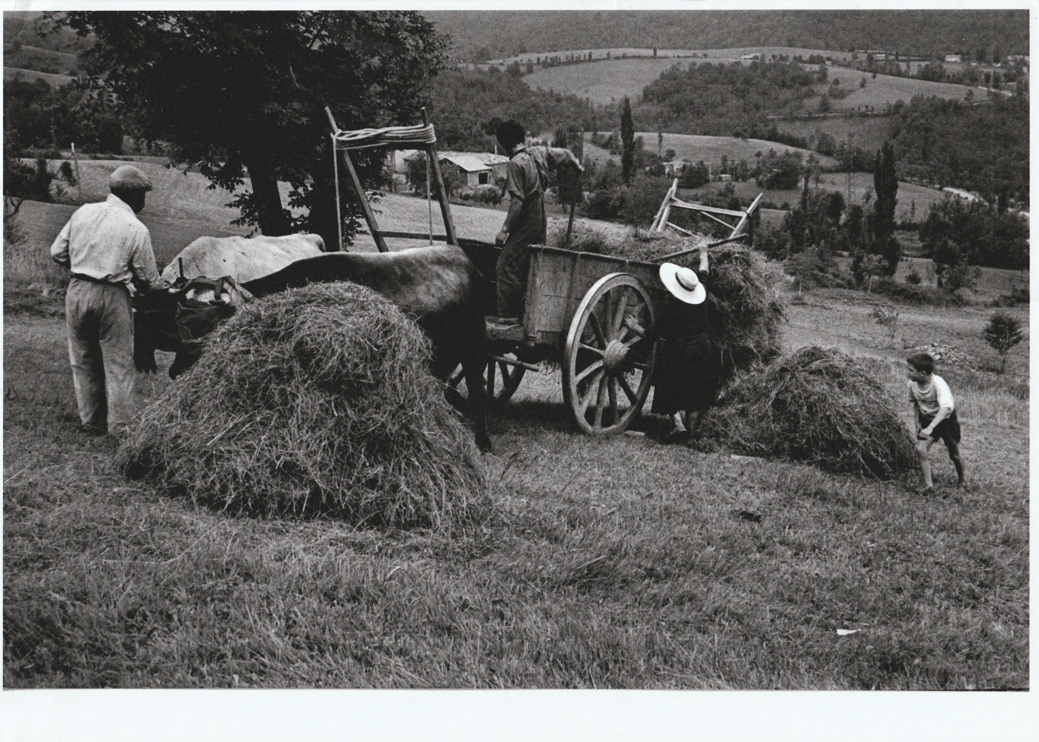 Exposition : Roquefixade en noir et blanc
