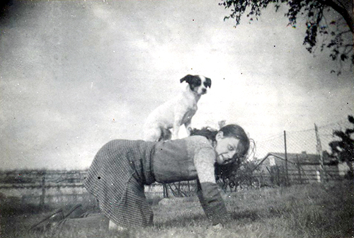Exposition canine