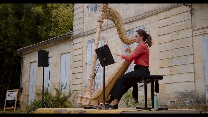 Affiche — Pique-nique musical - PESMD Bordeaux