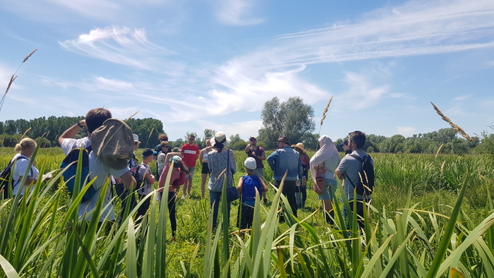 Les rongeurs du Marais du Trait Le 2 fév 2025