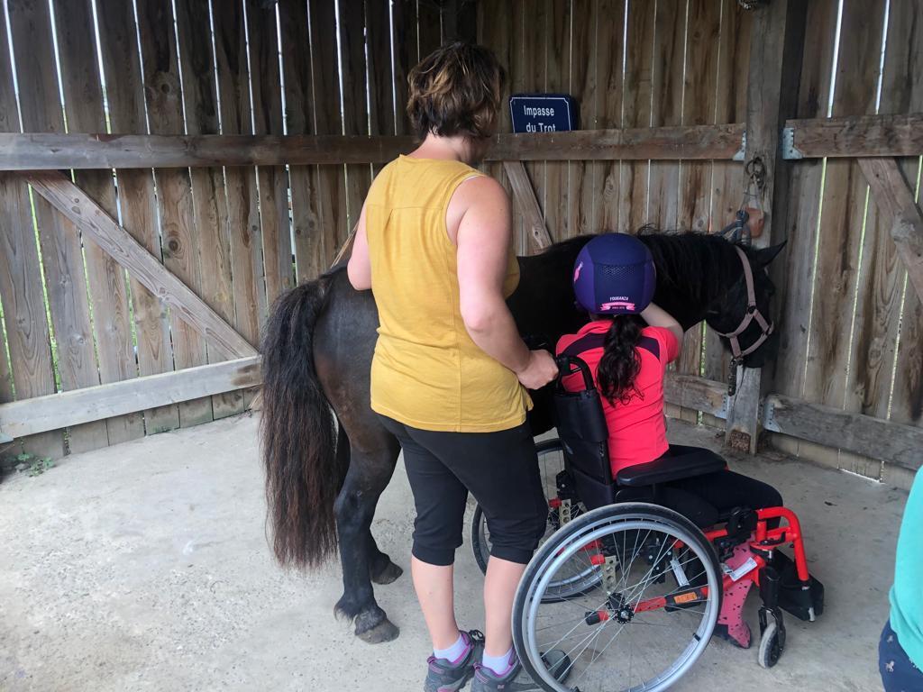 Portes ouvertes chez la Bulle Equine
