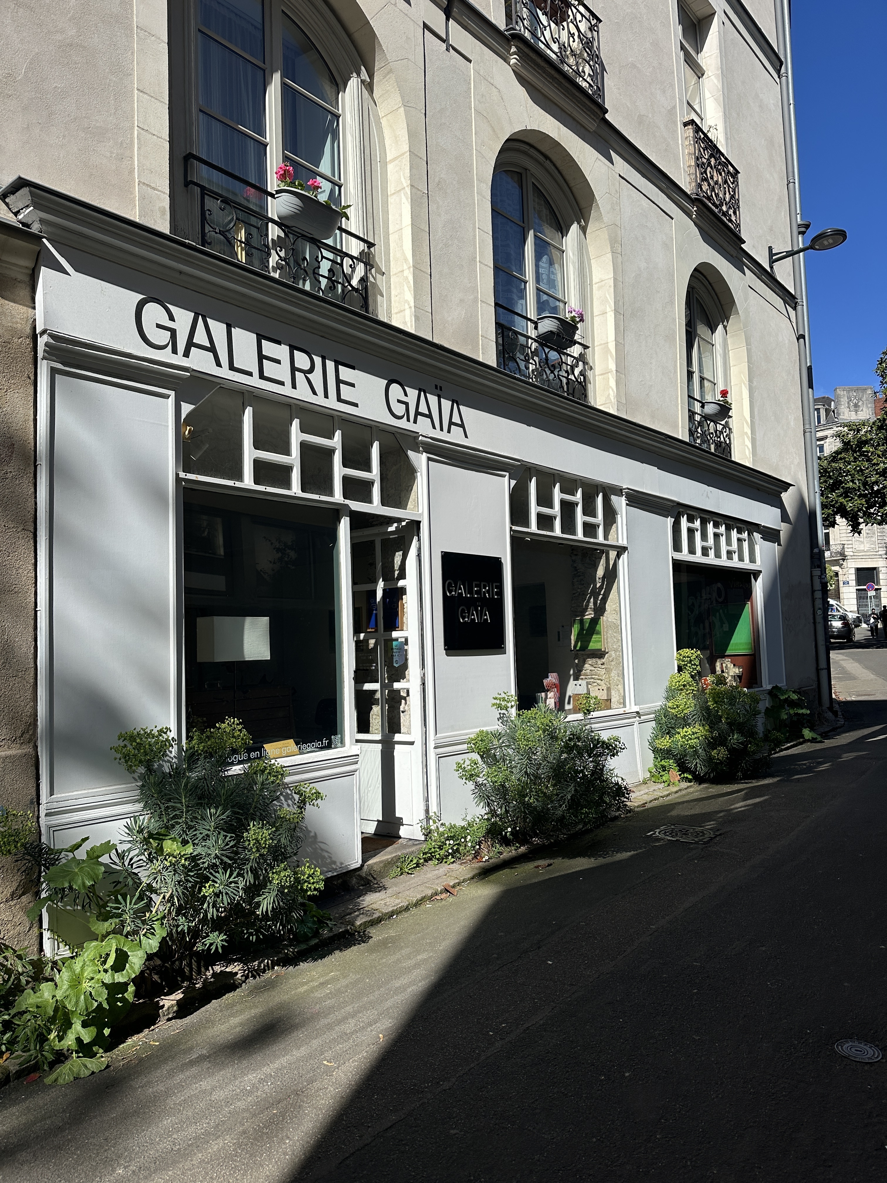 Collection Jean-François Mollière & Patrick Miara - Galerie Gaïa