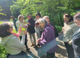Balade gourmande autour des plantes sauvages