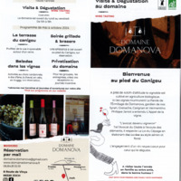 Visite et dégustation au domaine Domanova