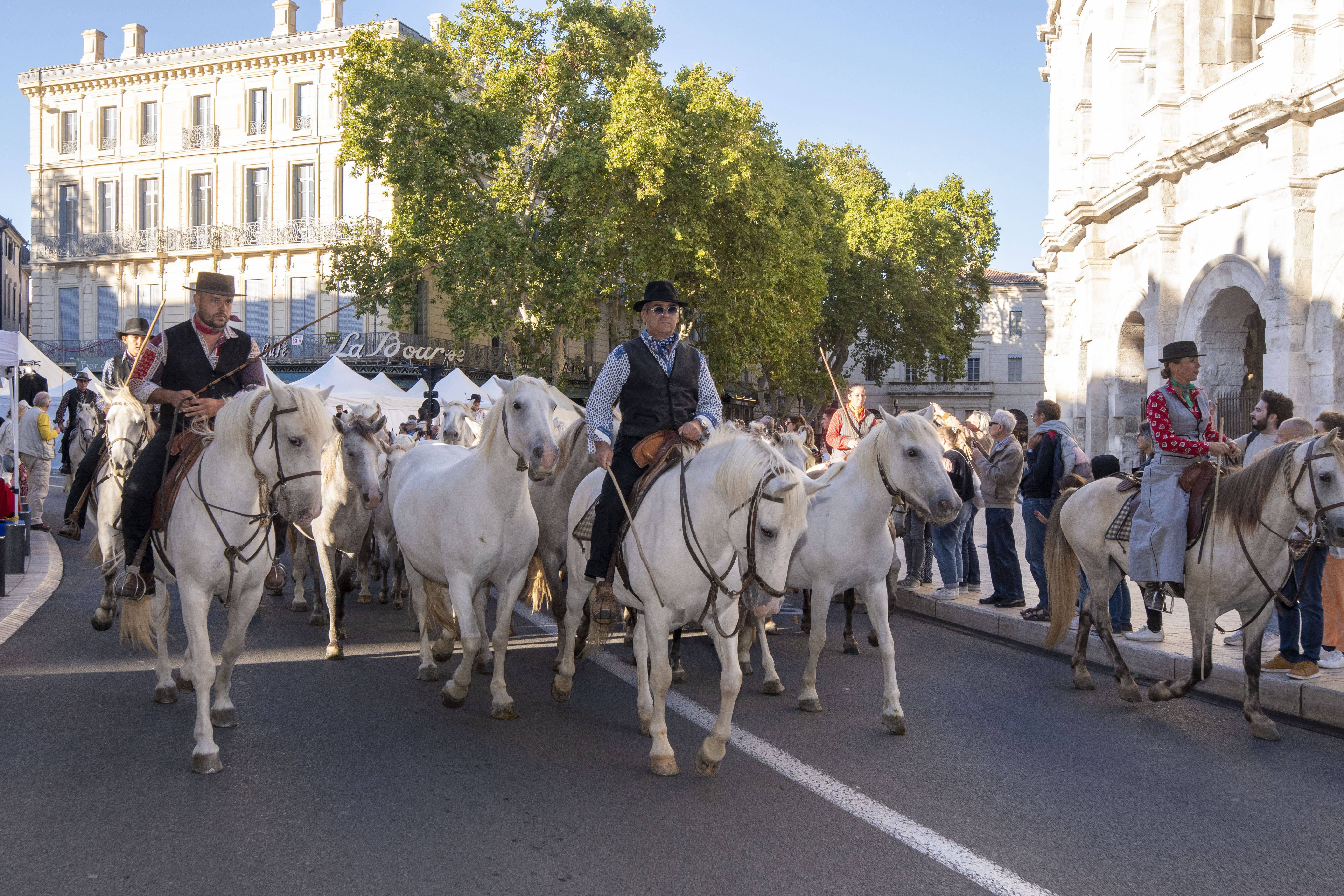 Visite commentée : « Histoire(s) de Ferias »