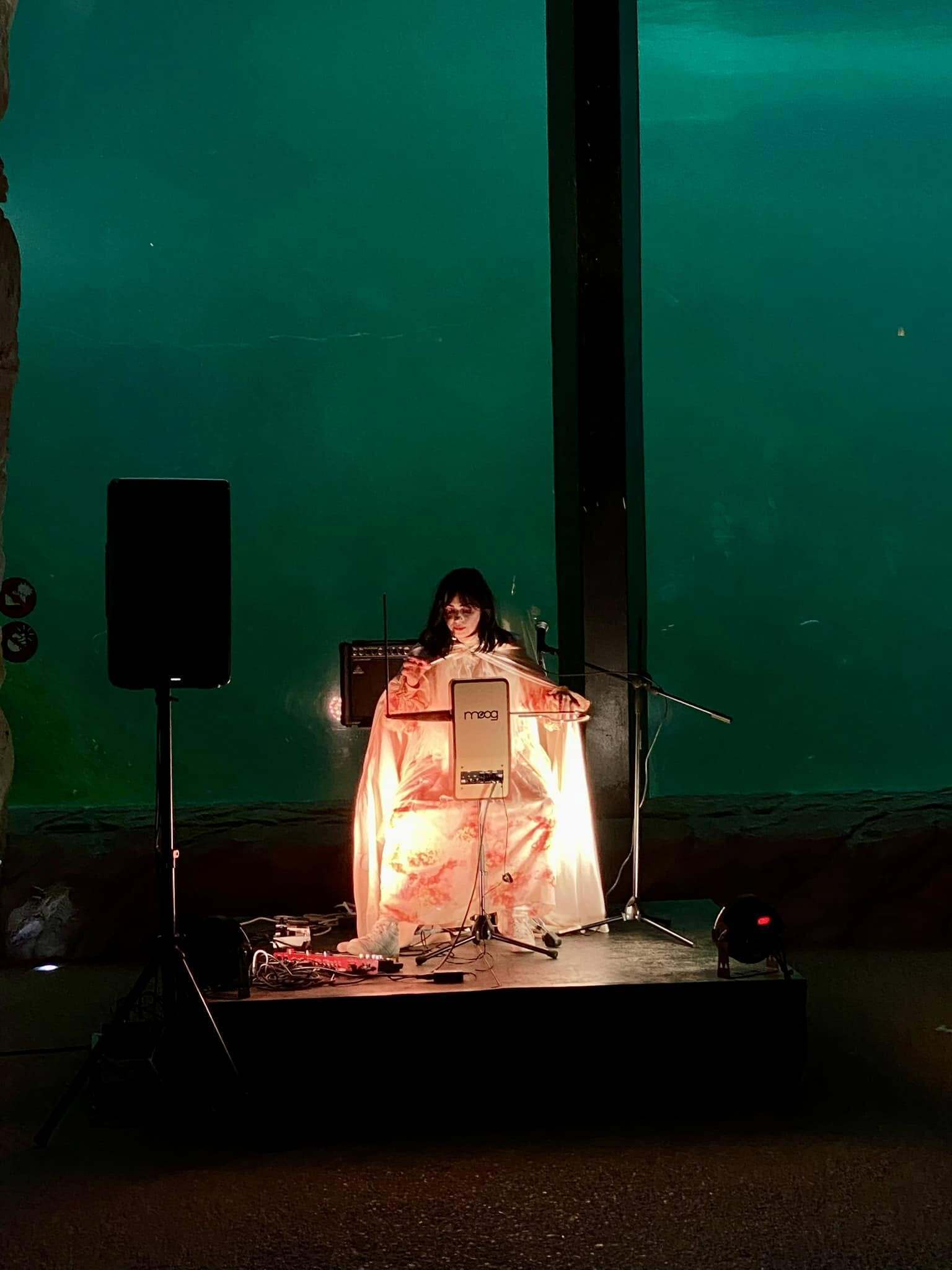 Rêveries Ô Theremin - Charlotte Dubois