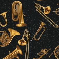 Concert de fin d'année de l'Ecole de Musique