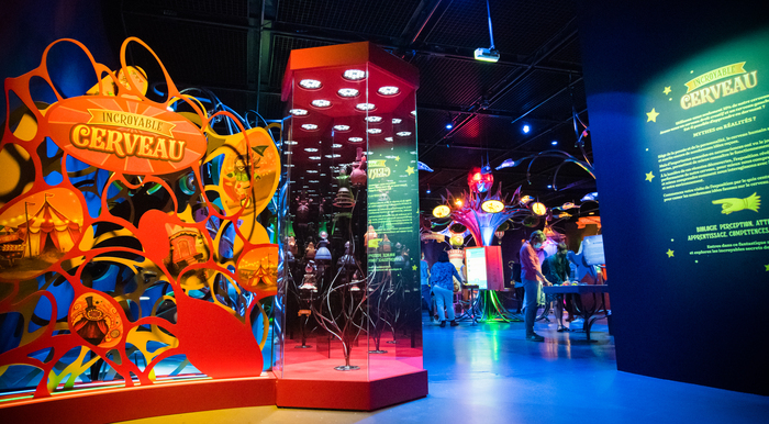 Incroyable cerveau