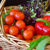 Marché local de Couiza