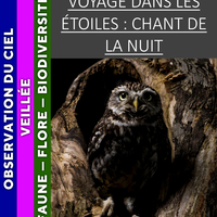 VERCORS - Voyage dans les étoiles : chant de la nuit