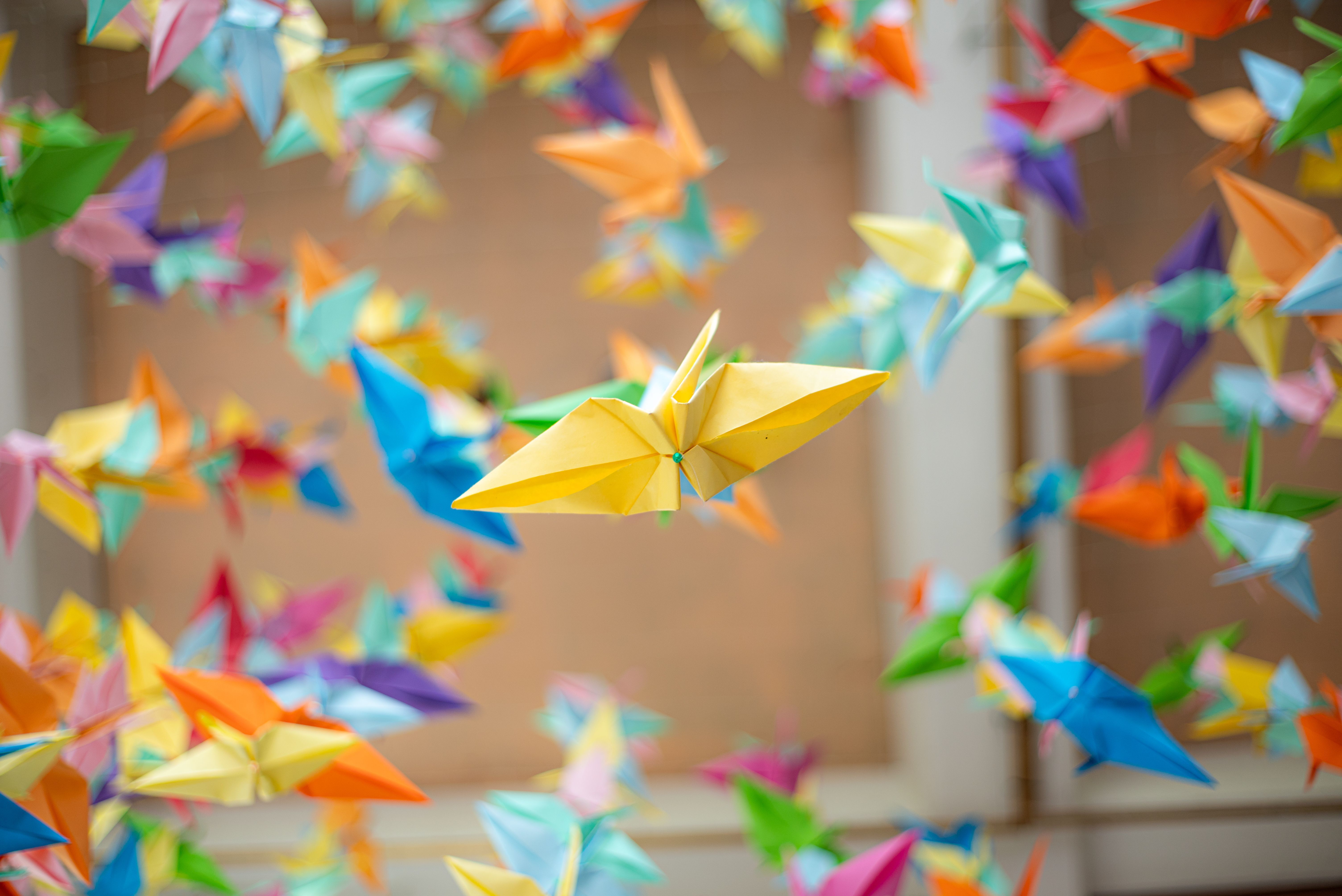 Atelier origami : Poissons et bateaux en papier