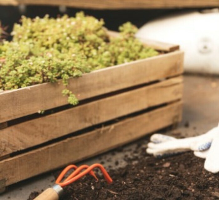 La Maison du jardinier et de la nature se déplace dans votre quartier !