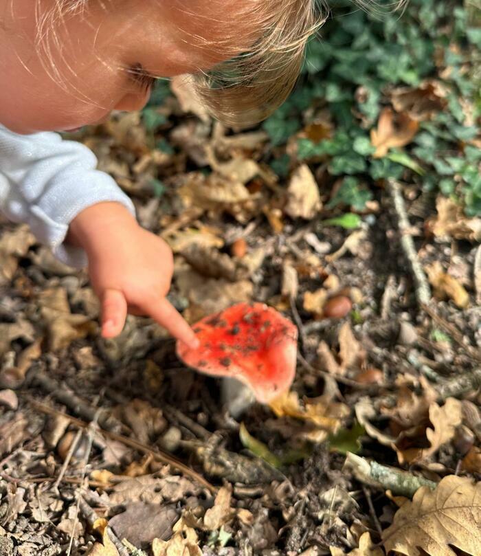 Sortie coorganisée par Île-de-France Nature
