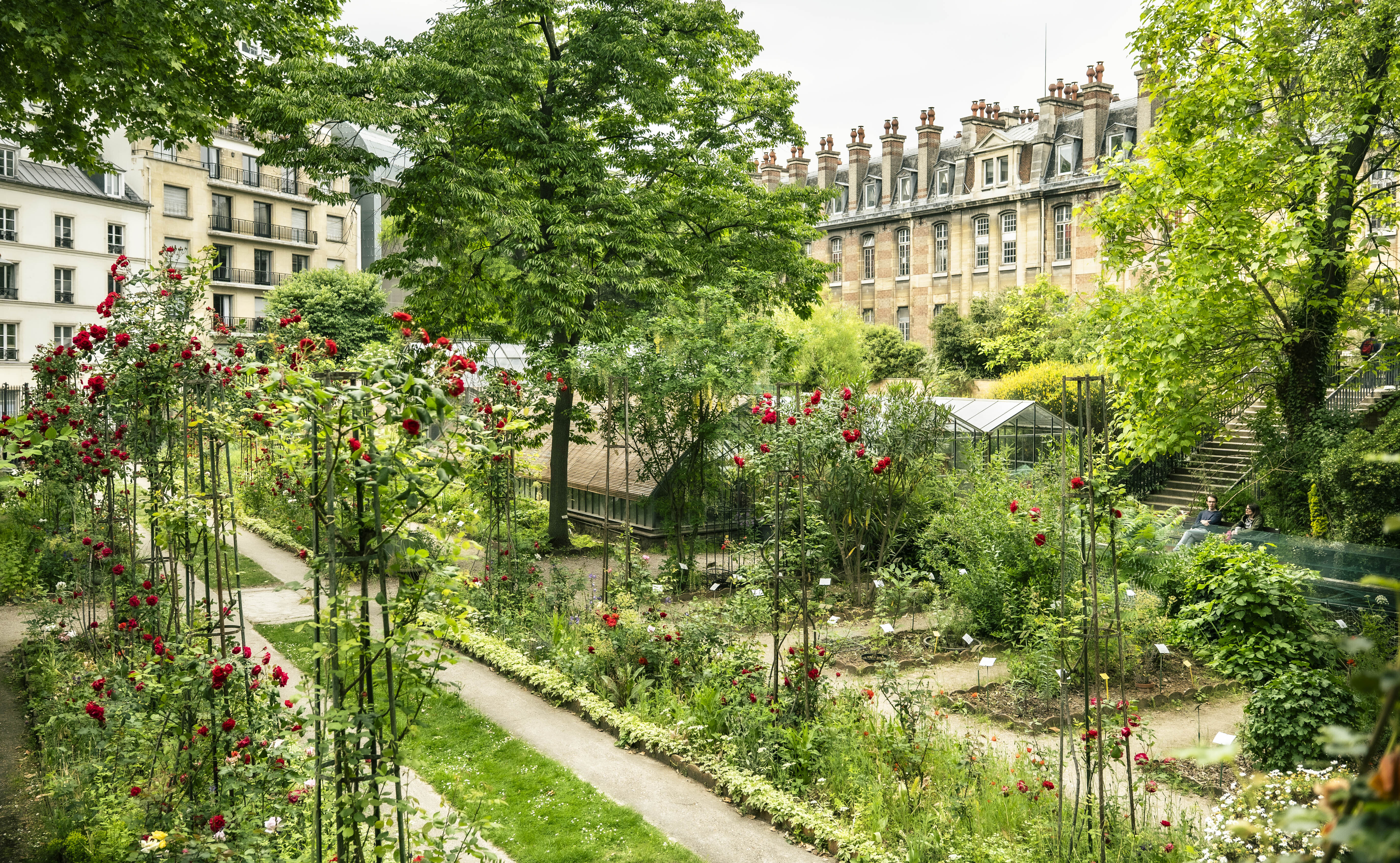 Visite guidée du jardin botanique de la Faculté de Pharmacie de Paris