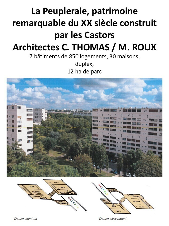 Visite commentée des appartements duplex de La Peupleraie, patrimoine remarquable du XXe siècle