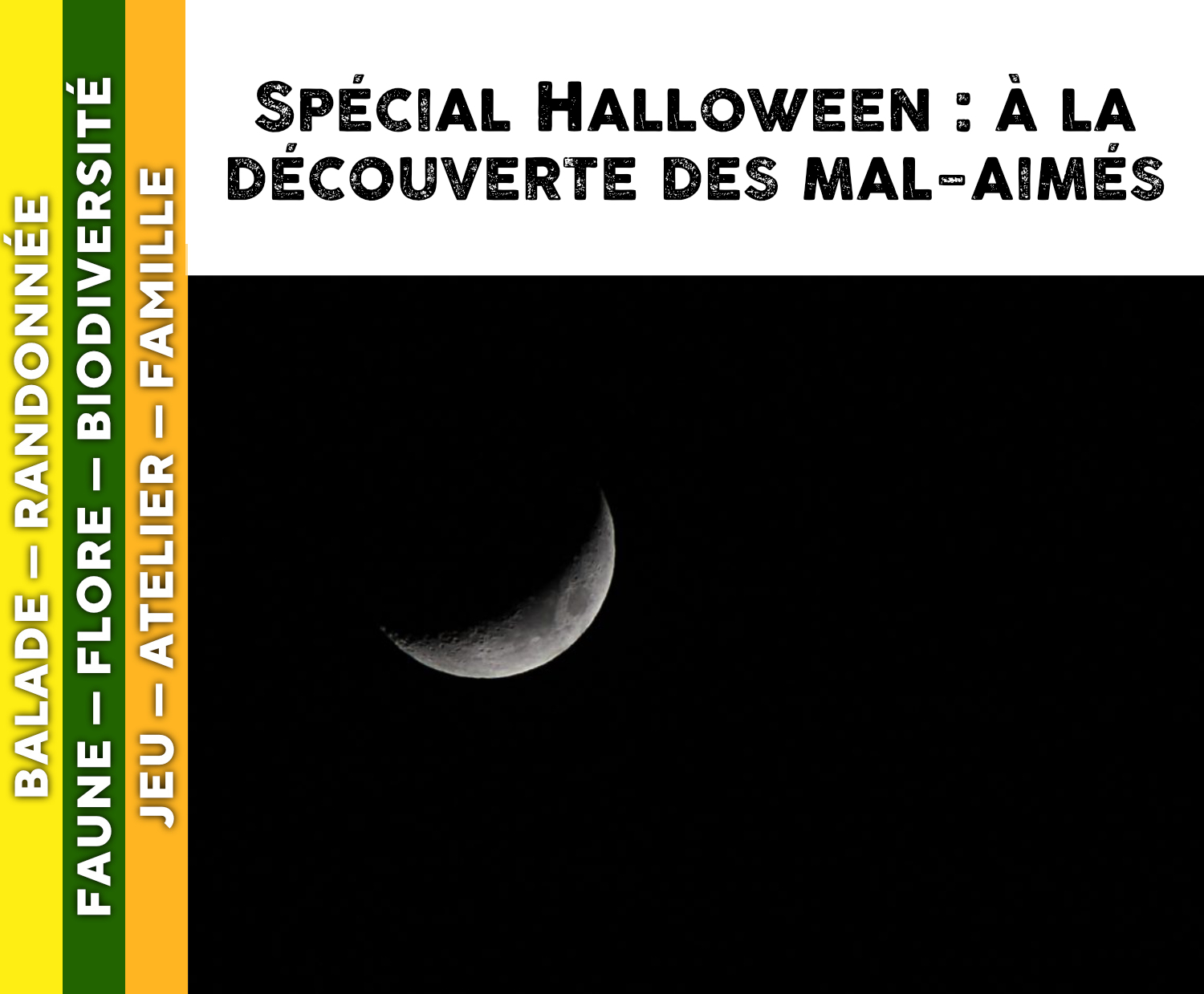 MORVAN - Spécial Halloween : à la découverte des mal-aimés