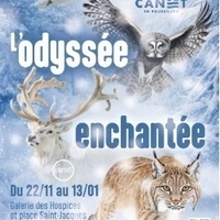 Bon Nadal ! Animations et ateliers