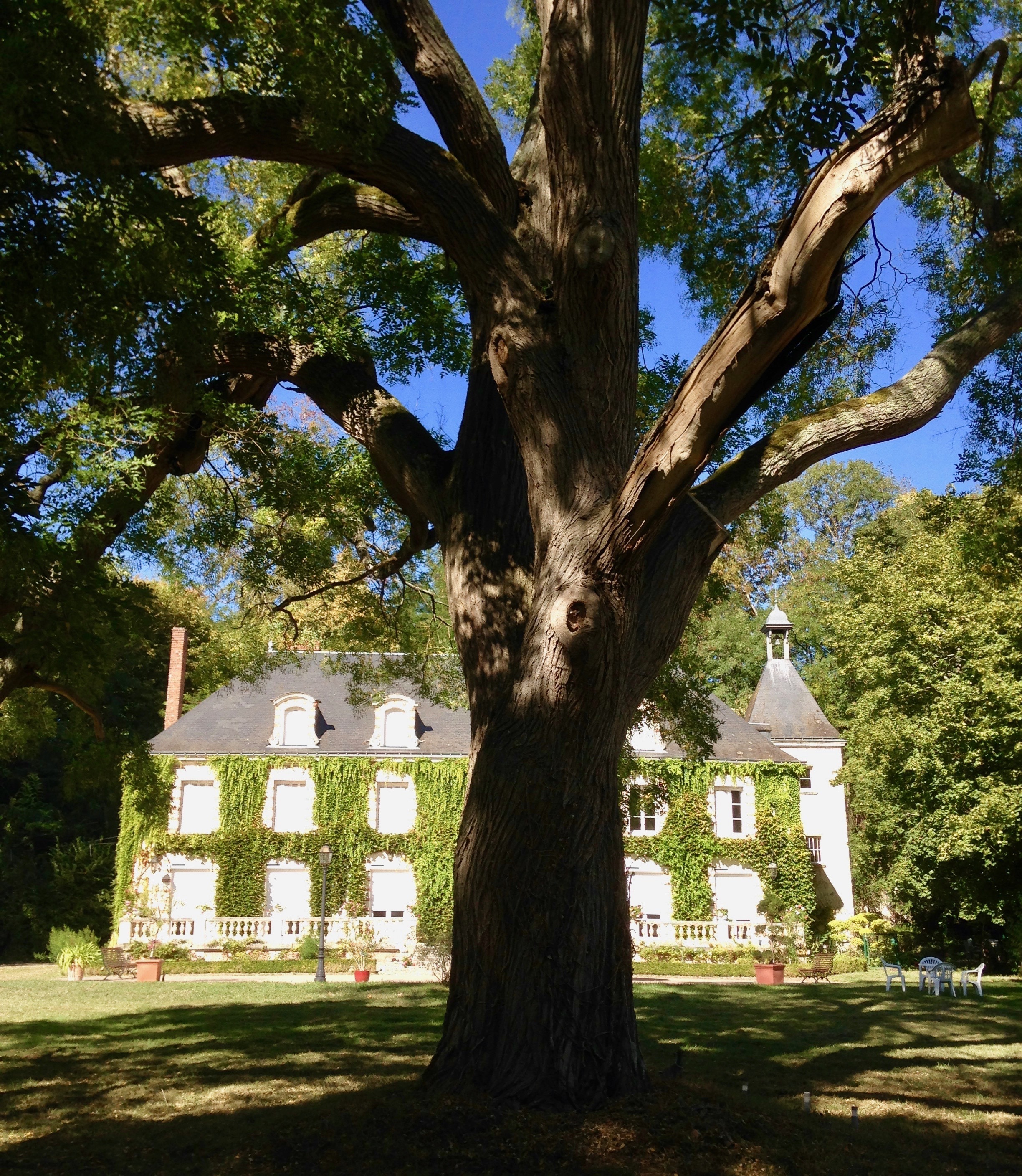 Château de Méré