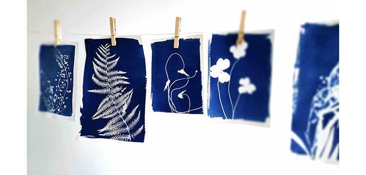 Atelier de création en cyanotype
