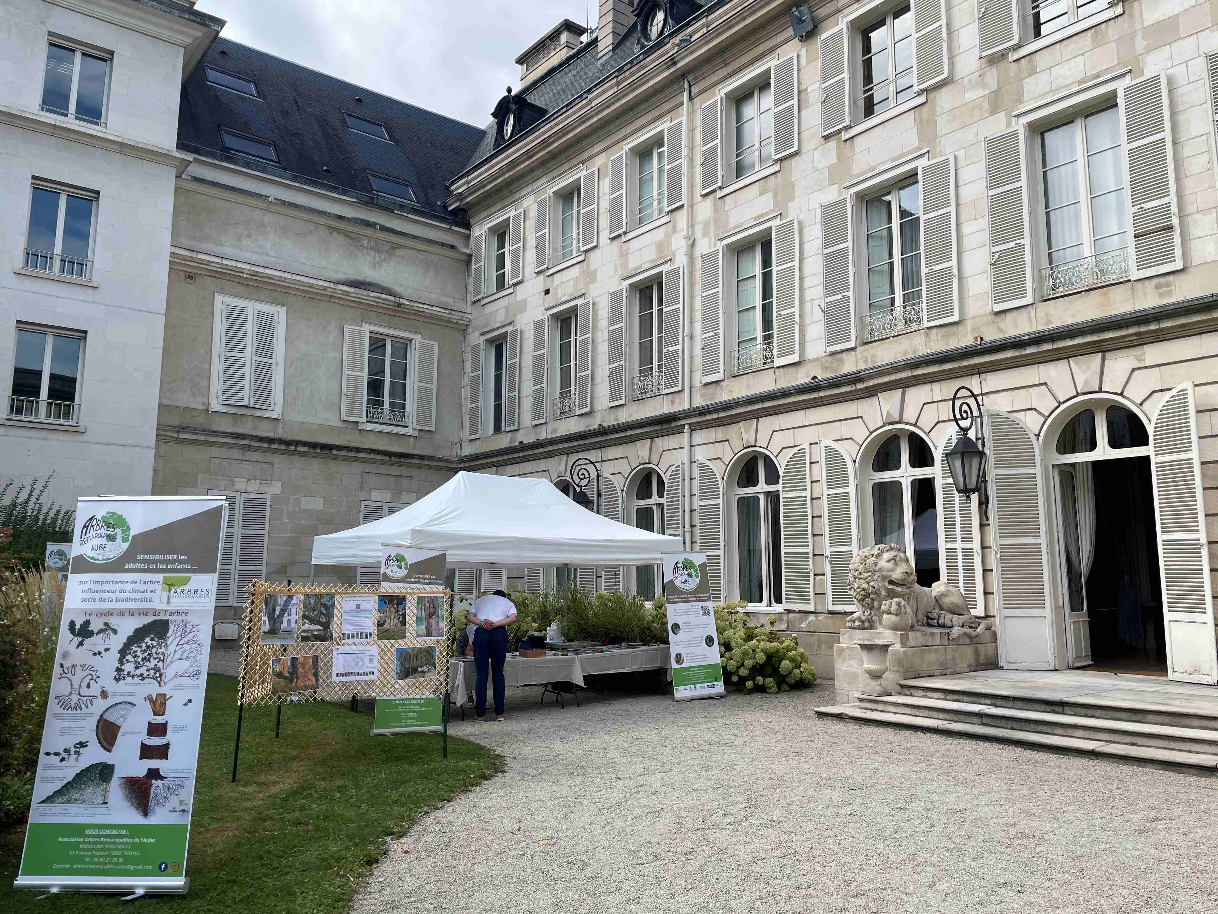 Venez découvrir une exposition photo sur des arbres remarquables