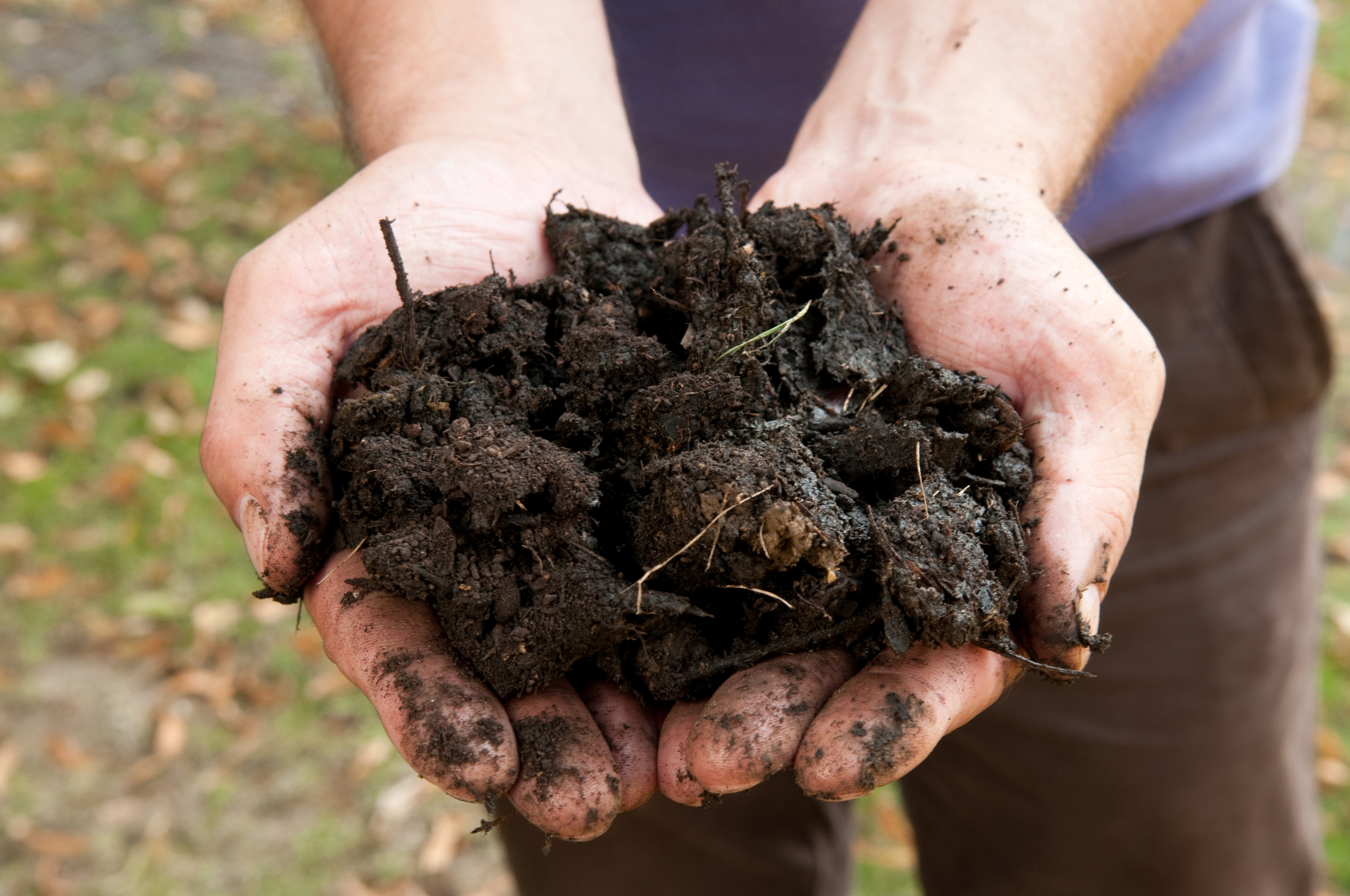 Découverte et démonstration autour du compost