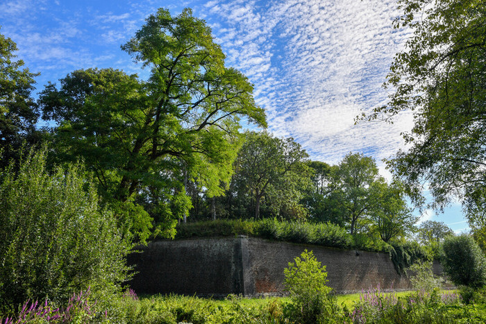 Les remparts de la Citadelle, un refuge pour la nature