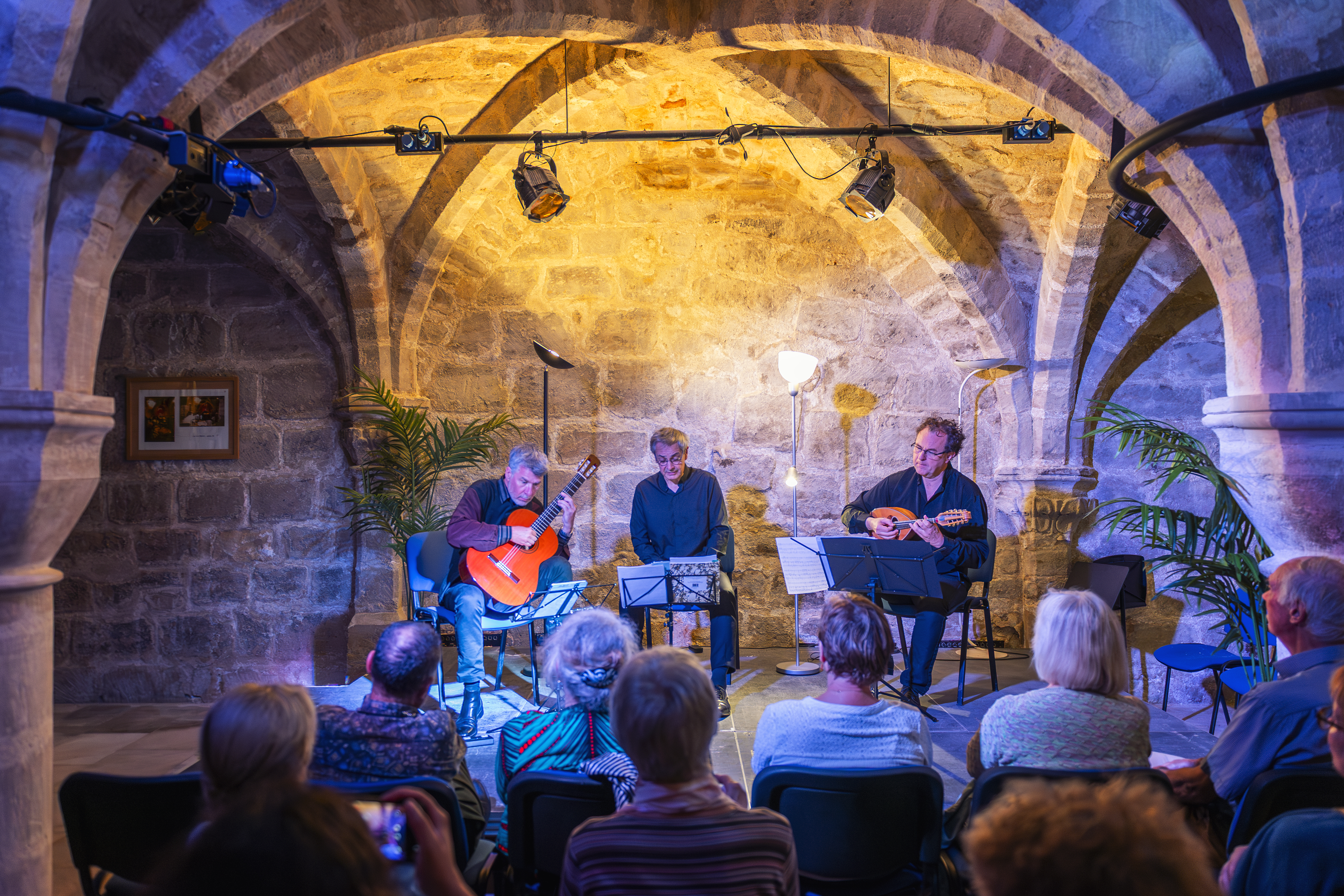 Voyage au centre de la mandoline